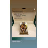 Rolex gmt master II Rootbeer Eye of the tiger